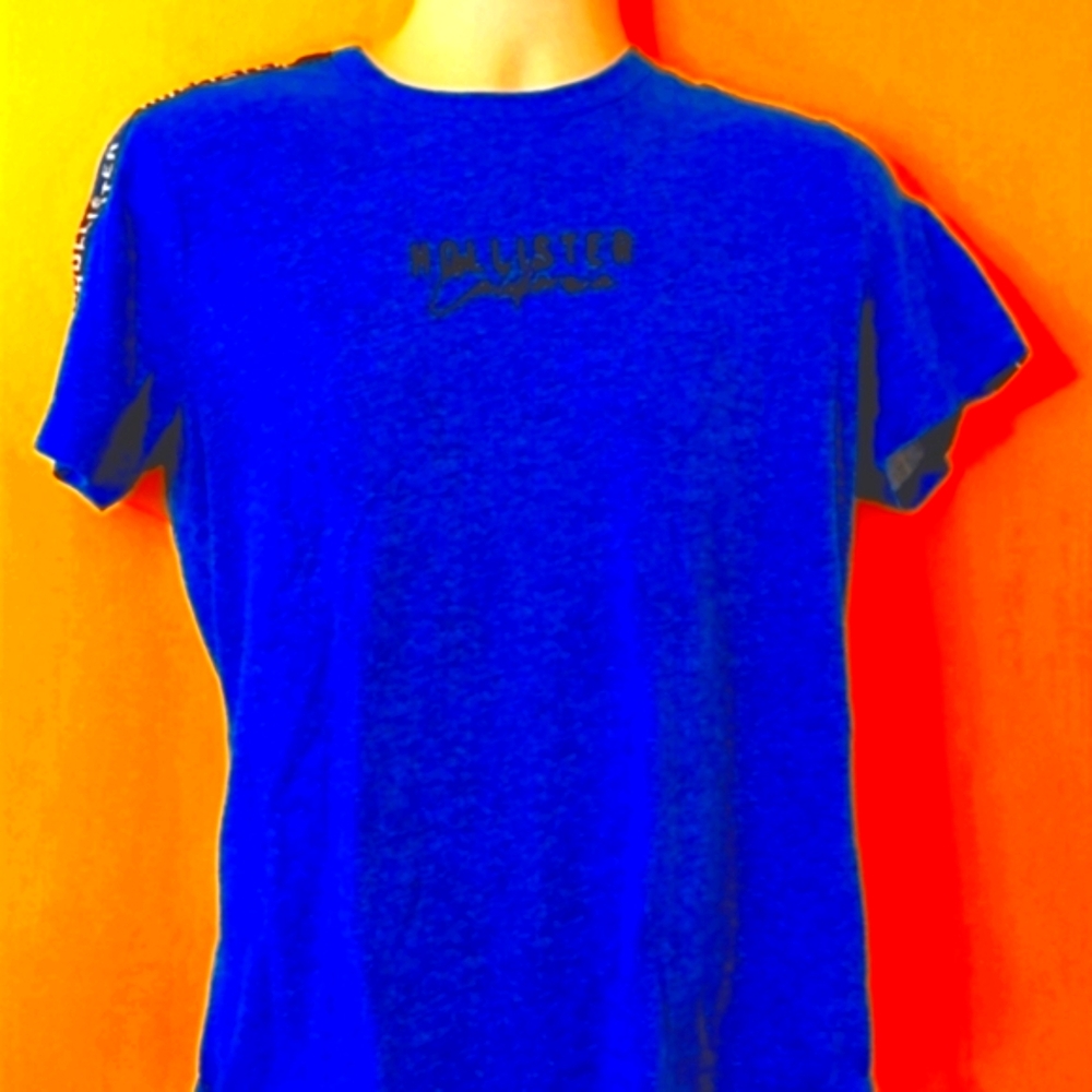 EUC HOLLISTER Men's Short Sleeve Tee